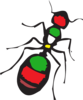 Ants of the Middle East